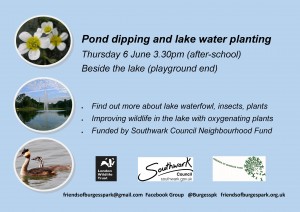 Lake planting poster June2019