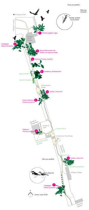 Surrey Canal Walk map