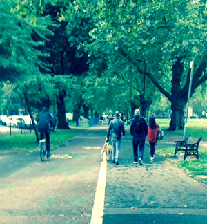 Cyclists and Pedestrians on a park pathj
