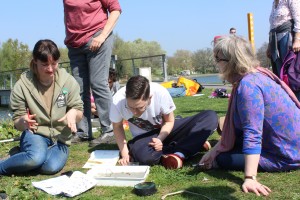 London Wildlife Trust undertake a survey of lake insect life.