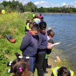 Planting and pond-dipping with London Wildlife Trust