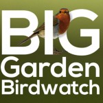 RSPB Big Garden Birdwatch 2018