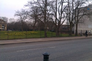 Park entrance from Commercial Way with new bulbs and bushes removed