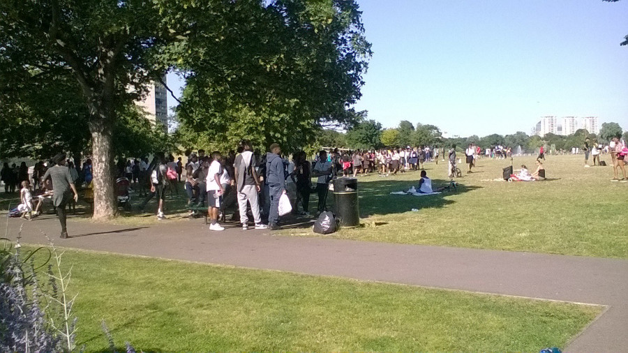 Making Meadows Friends Of Burgess Park
