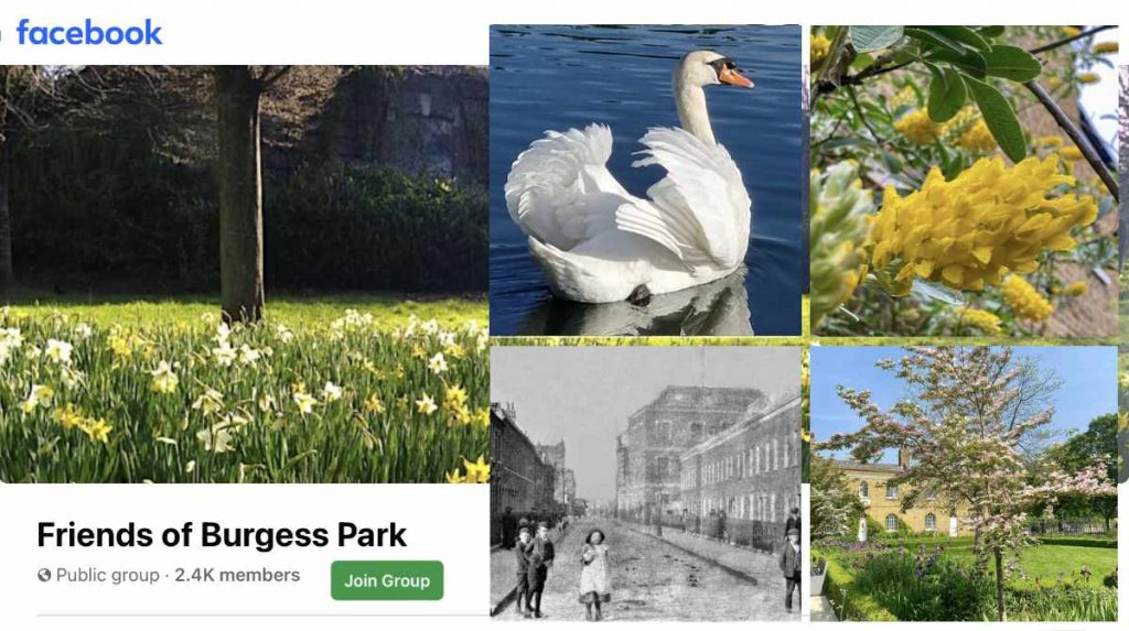 Images from the Friends of Burgess Park  Facebook page