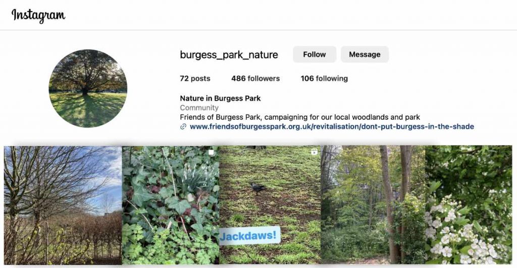 Images from the Friends of Burgess Park Instagram website