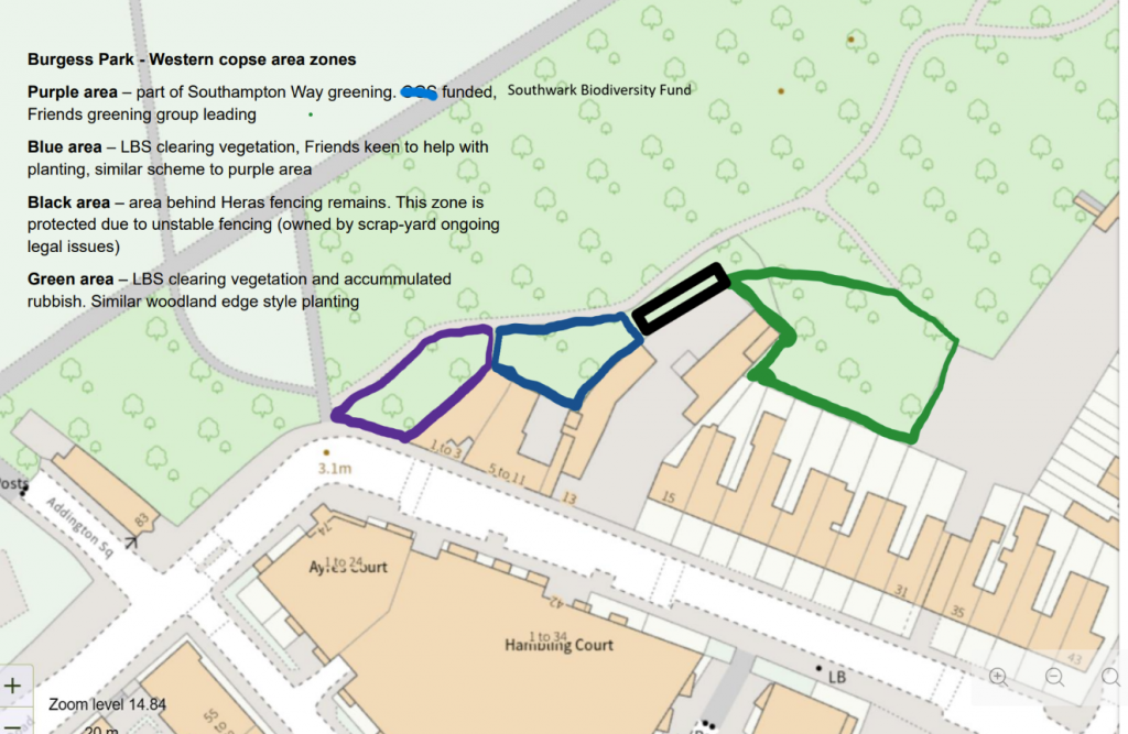 Map of park entranceway and MOL site and plans for replanting following the Feb 2026 removal of Russian vine. 