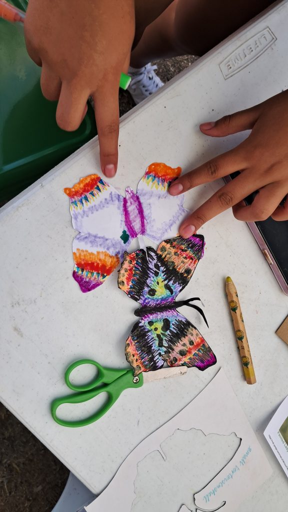 Butterfly art; two completed butterflies cut out. 