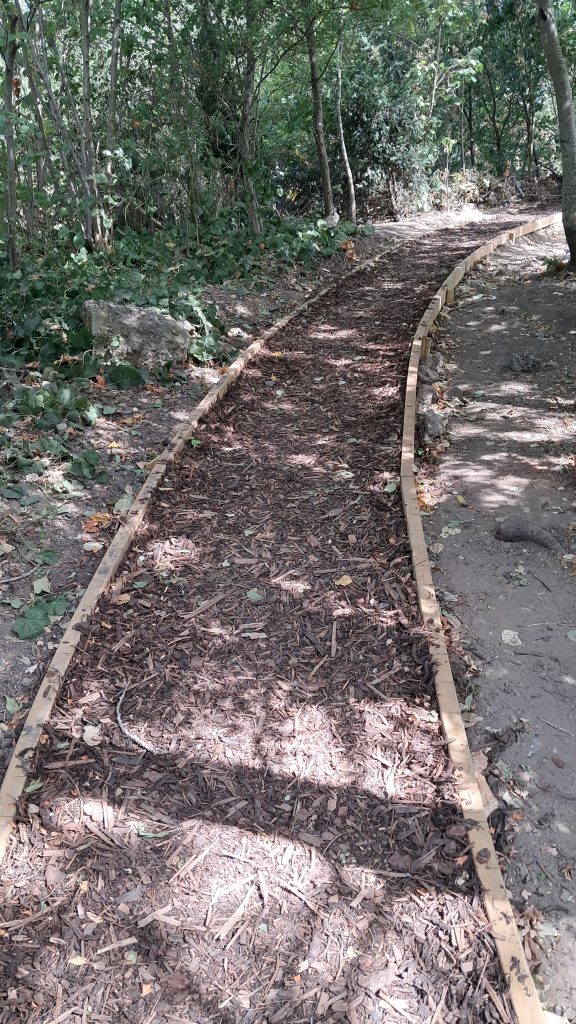 New pathway with wood edging