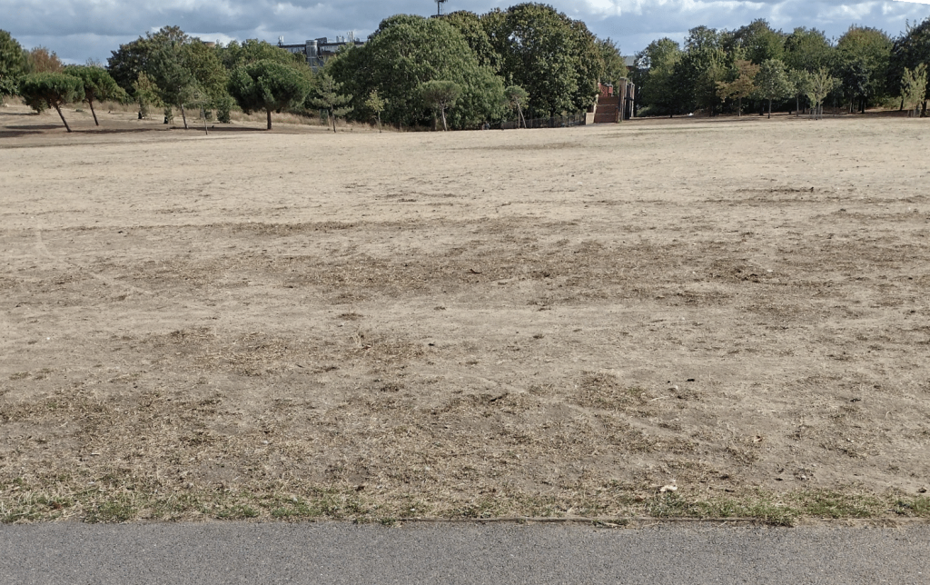 Burgess Park West field after the music events. FOBP photo Sep 2026