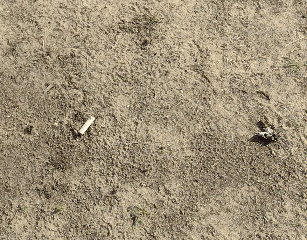 Closeup of the state of the field in Burgess Park West after the music events -- only dirt and sand are left. FOBP photo Sep 2026